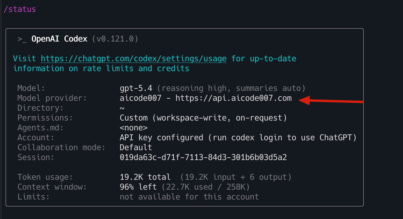 Codex /status 配置成功示例